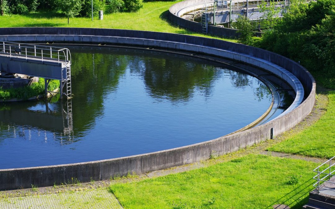 Carbo­niz­a­tion of sewage sludge removes pollut­ants of high ecolo­gical and human health impact