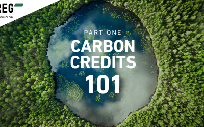 What exactly are carbon removal credits and how do they work?