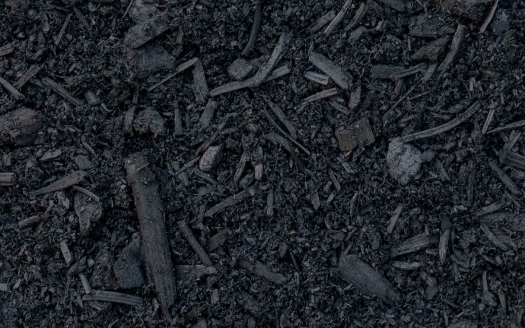 SWEDEN: Climate commis­sion recom­mends use of biochar