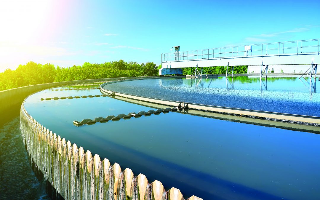 Orbital Biocarbon and PYREG Partner to Trans­form Waste­water Sludge Disposal into Regu­la­tion Compliant, Carbon Nega­tive and PFAS-Free Profit Center